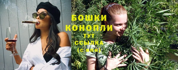 шишки Киренск