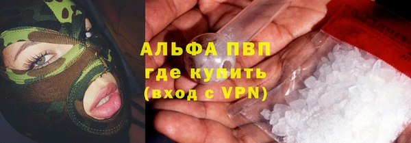 тгк Касимов