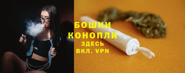 тгк Касимов