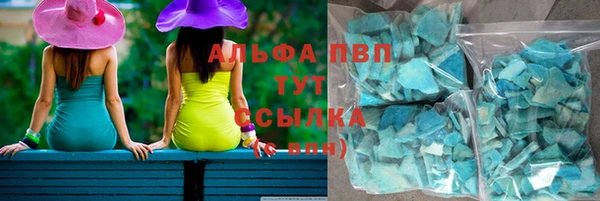 тгк Касимов